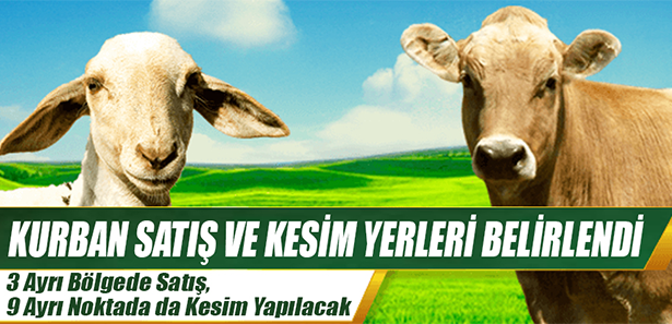 haber resim