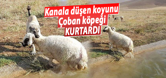 haber resim