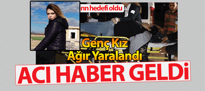 haber resim