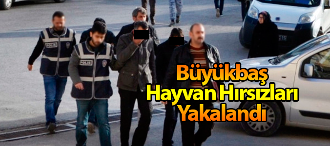 haber resim