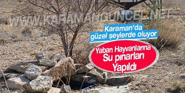 haber resim
