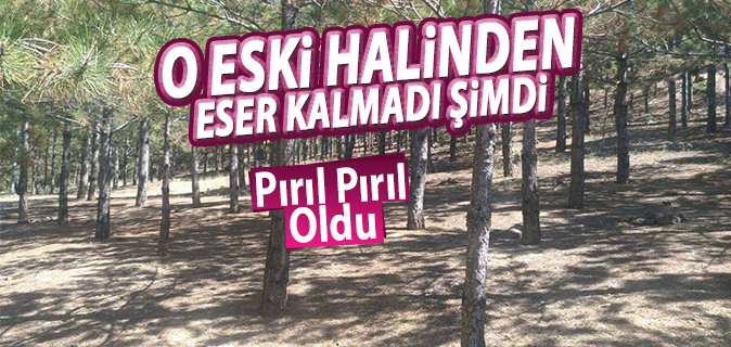haber resim