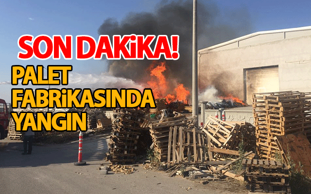 haber resim
