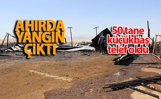 haber resim