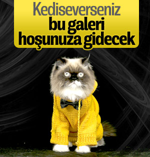 haber resim