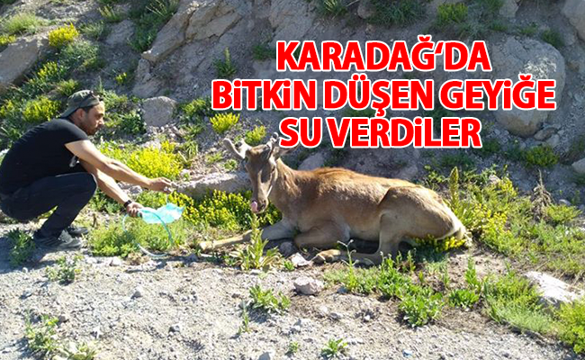 haber resim