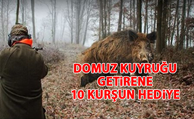 haber resim