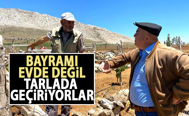 haber resim