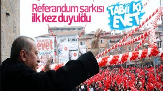 resim