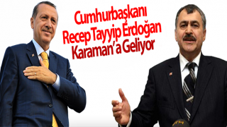 resim