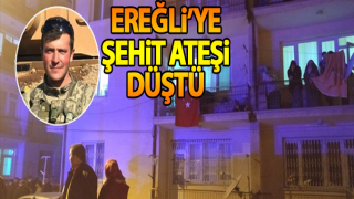 resim