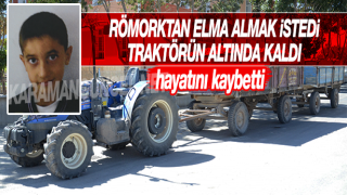 resim