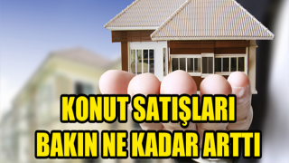 resim