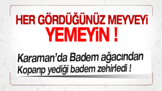 resim