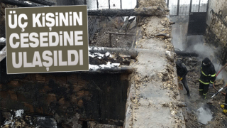 resim