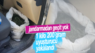 resim