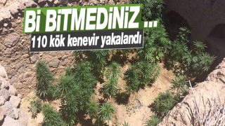 resim