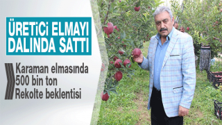 resim