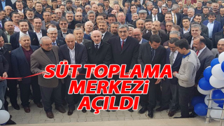 resim