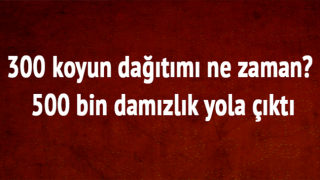 resim