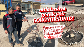 resim