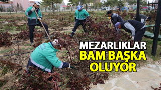 resim
