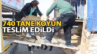 resim