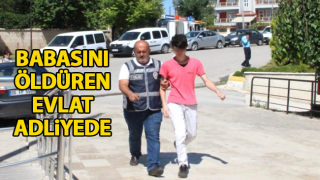 resim