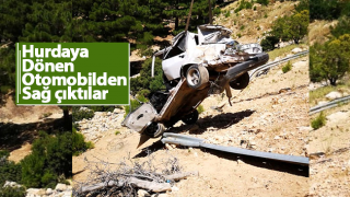 resim