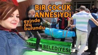 resim