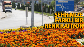 resim