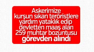 resim