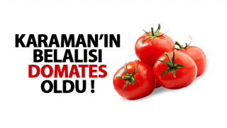 resim