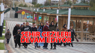 resim