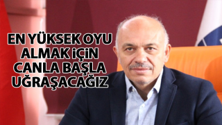 resim