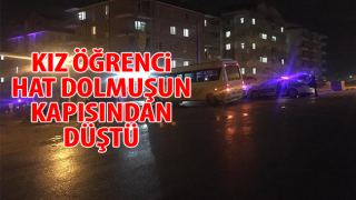 resim