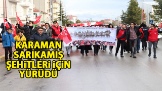 resim