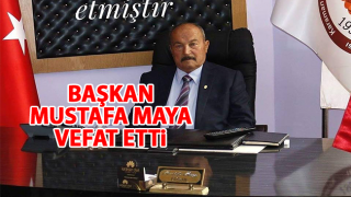 resim