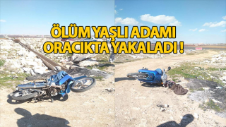 resim