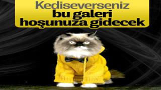 resim