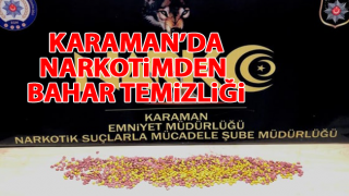 resim