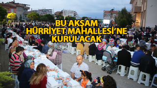 resim