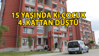 resim