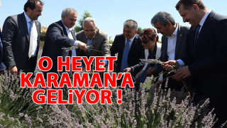 resim