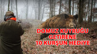 resim