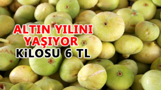 resim