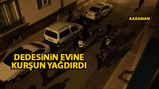 resim