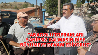 resim