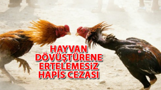 resim