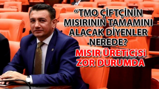 resim
